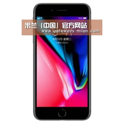 Apple iPhone 8 Plus (A1899) 64GB 深空灰色 移动联通4G手机